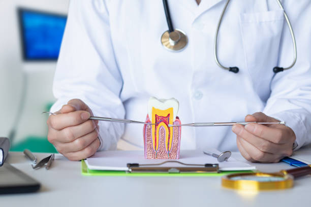 Best Emergency Gum Treatment in Boaz, AL
